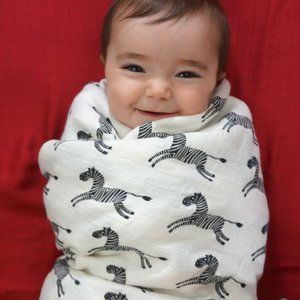 Zebras - 1 Single Layer Swaddles 50"x50" made from Bamboo, muslin, nursing cover